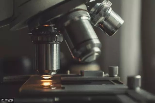 1669011476163445.jpg 5.webp.jpg