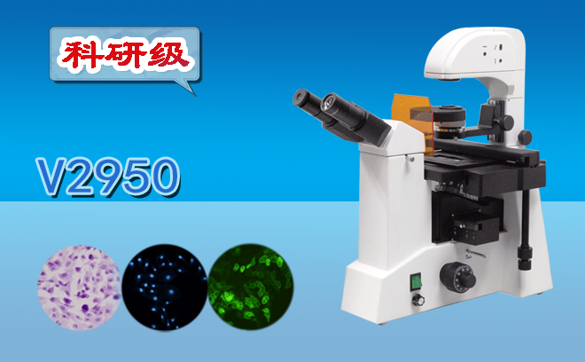 1694488719734463.png 熒光顯微鏡.png